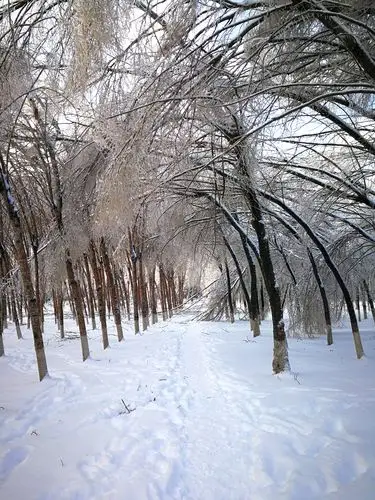 历史同期罕见 风雨风雪交加