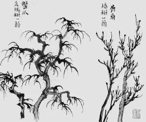 国画树怎么画简单又好看,国画技法|树木的画法步骤与作品欣赏 - 冷求