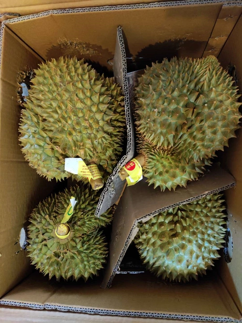 榴莲王子金枕榴莲实拍当被问及什么牌子的榴莲更好时,官斌岳说,国内