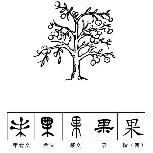 汉字之最|最实在的汉字:果