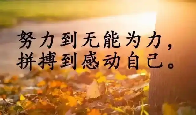 向阳而生的励志句子逆光生长向阳而生励志句子