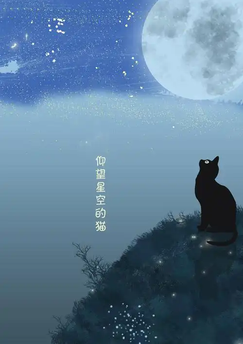 仰望星空的猫