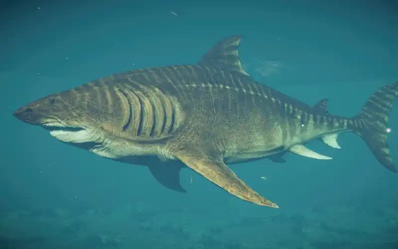 欢迎史前最大鲨鱼来到侏罗纪公园!