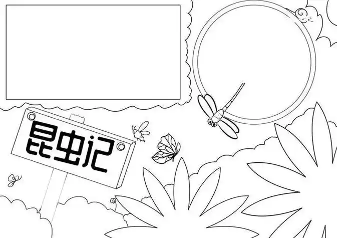 昆虫记手抄报简笔画