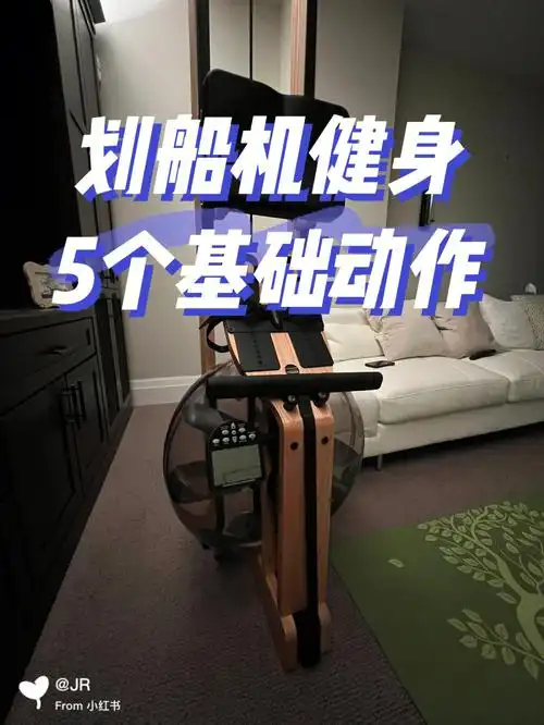 划船机健身的五个基础动作