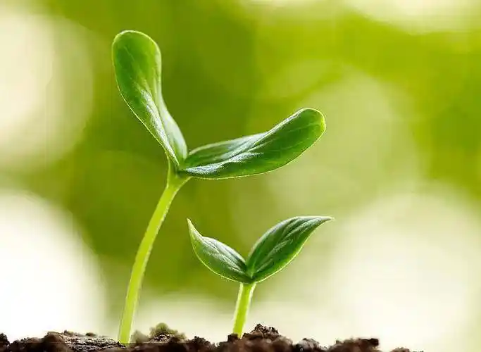 公益梦想种子计划