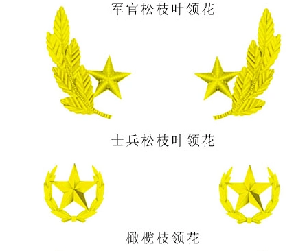 陆军空军海军的大小领花是一样的吗