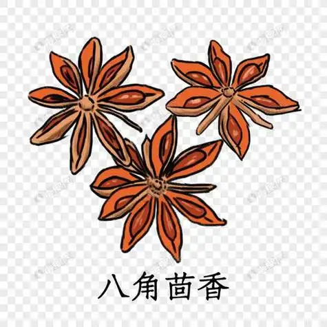 八角简笔画 八角简笔画图片