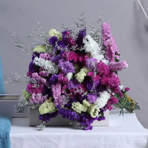 云南天然真花水晶草干花花束情人草勿忘我 家居装饰摆设y7|1斤(20支