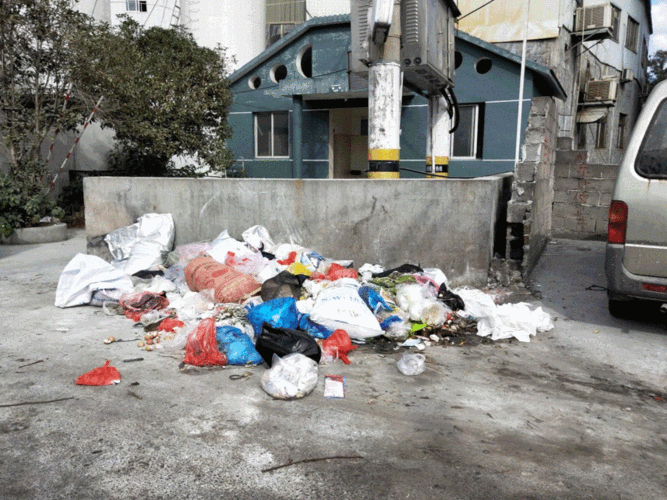 检察建议将垃圾堆请出市民的美好生活丨办小案显大爱