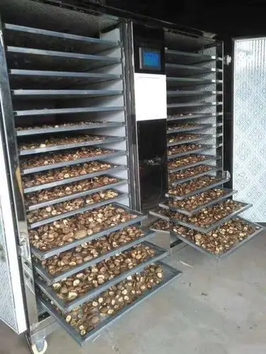 文山州香菇烘干机咨询电话