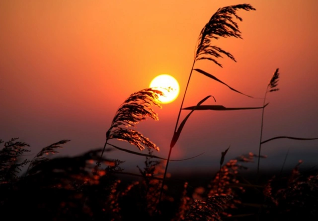 心理测试:哪一个日落让你感觉伤感?测你60岁时是否还有人陪伴!