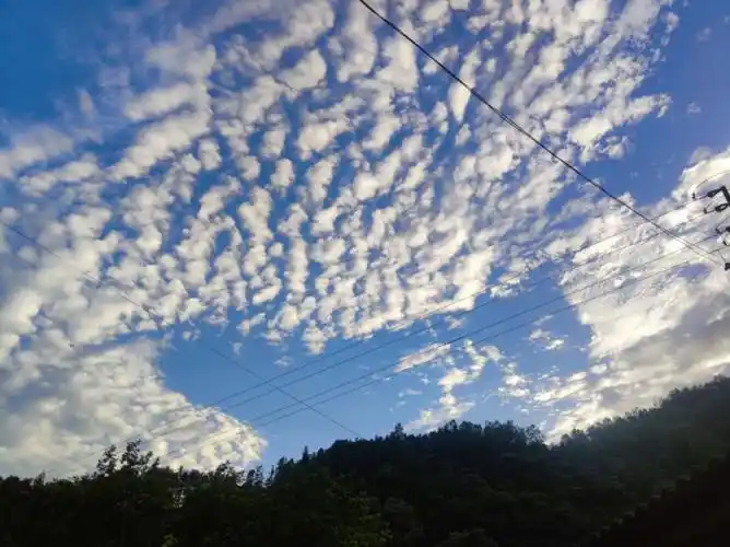 回家啃老第30天,雨后天晴的鱼鳞云这么美的嘛?