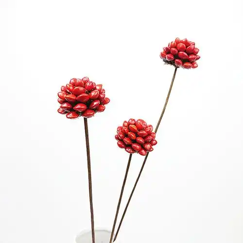 红豆制作摆件装饰客厅相思树枝手工制红豆相思手工干花