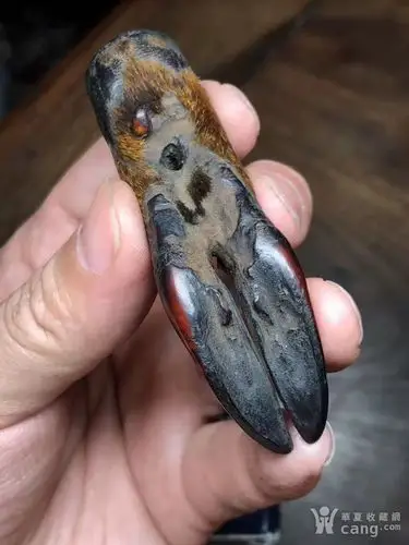 一般常见用麂子角做坠子,用麂子皮做成烟丝盒及其它东西的,用麂子腿