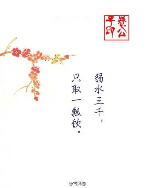 弱水三千,只取一瓢饮