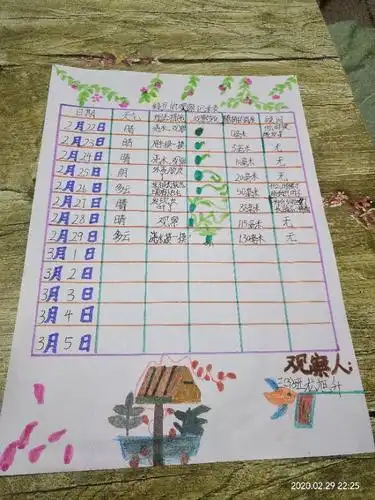 观察绿豆植物的变化过程记录