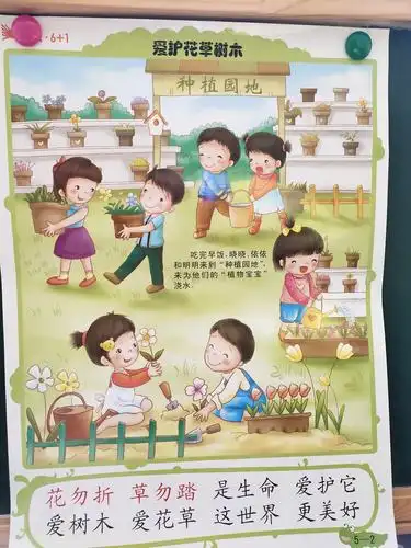 礼仪篇——爱护花草树木