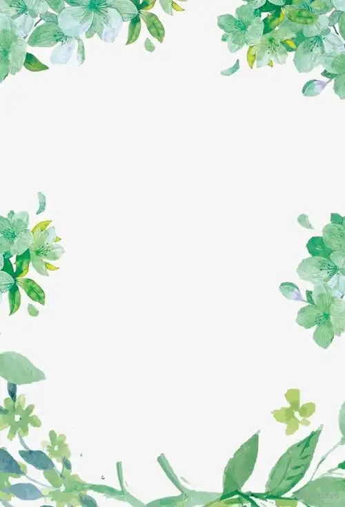 小清新绿色树叶边框png素材透明免抠图片-装饰效果