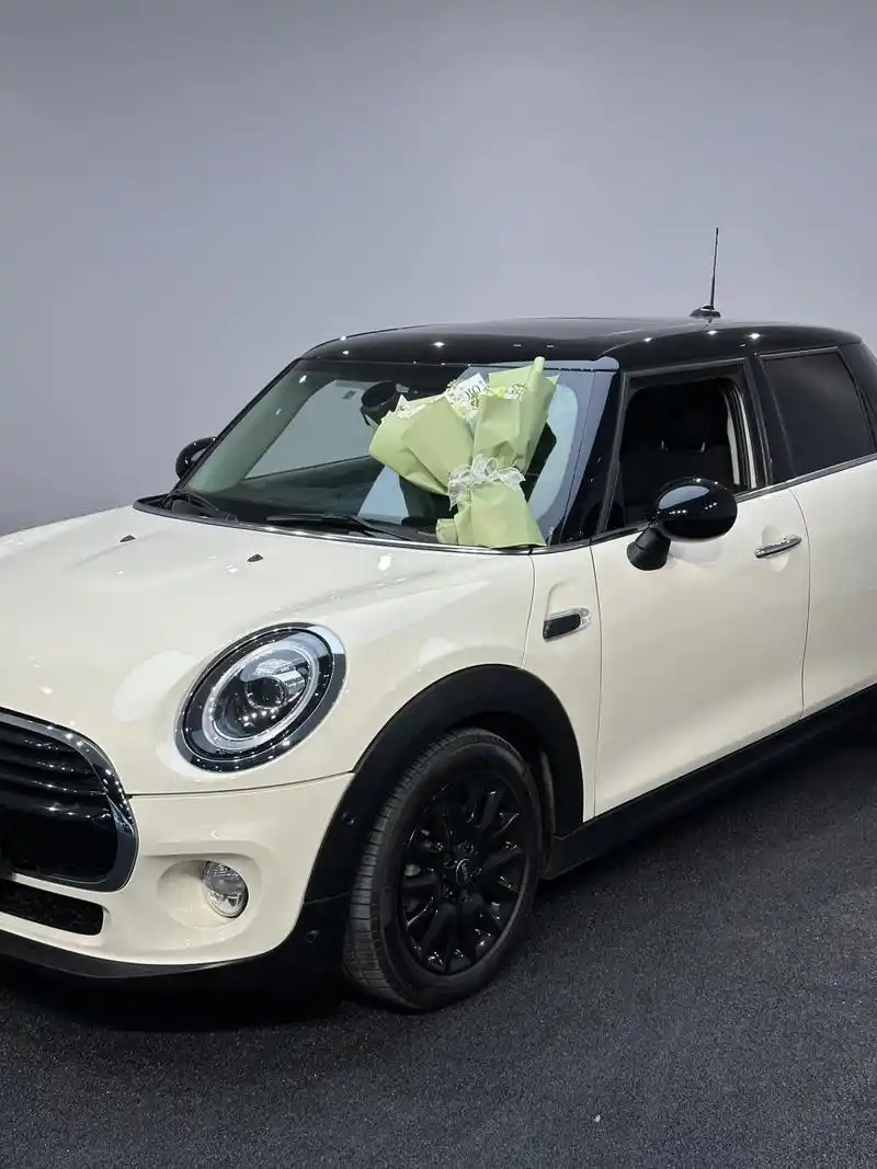 我的f56 cooper s表现同样出色,至今连异响都未曾有过.