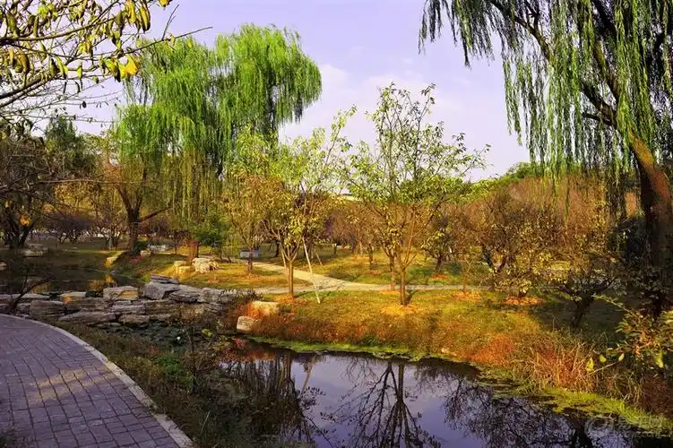 【秋天独特美】那些年追随的公园秋景