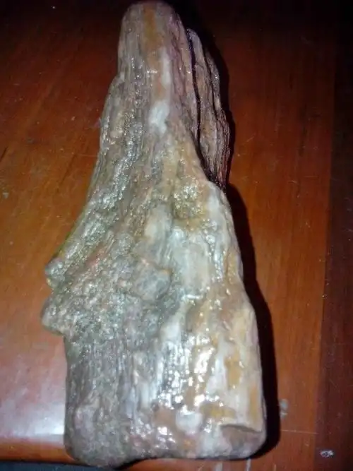 各位大神们,看看这块木化石有价值吗?15/16/9厘米,重2斤多.有价值吗