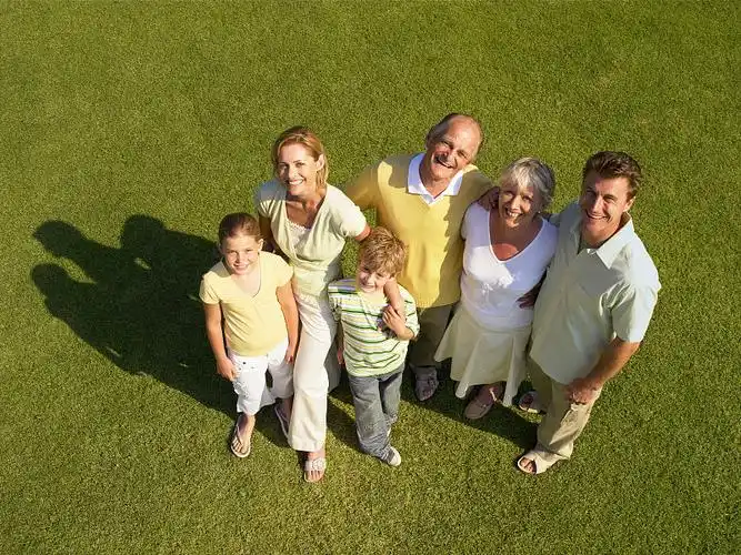 草坪上的三代同堂,微笑,人像,俯视图片下载