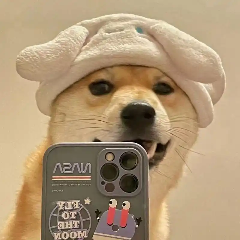 在网上搜到的一组头像,太搞笑了,分享一波,自己保存哈