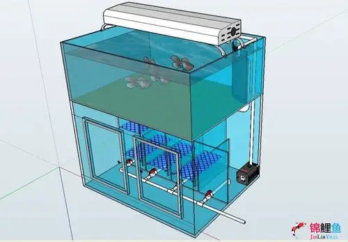 鱼缸过滤设计和管道走向分析来龙巅3年了为龙巅和鱼友们出份力