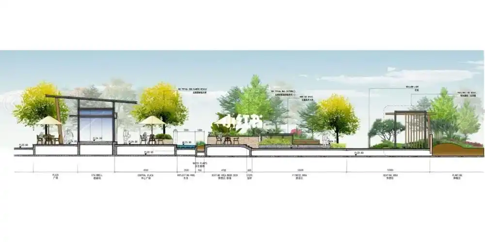 景观园林剖立面分析图