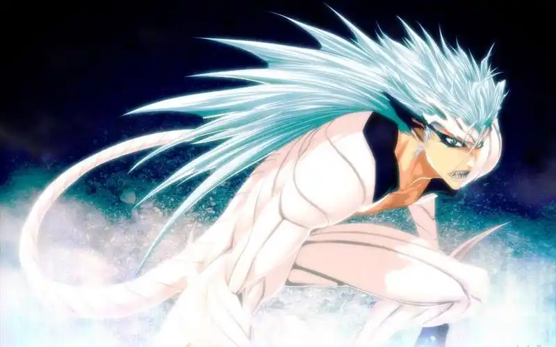 死神勇敢的灵魂葛力姆乔降临空座町剧情及技能演示