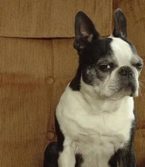 好好的一个儿童节,又让情侣们过成情人节了