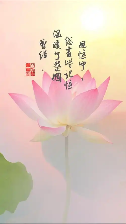 自制壁纸#苹果6高清壁纸,iphone 6 plus高清壁纸,文字,句子,告白