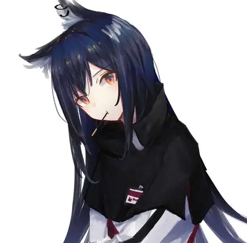 意志-明日方舟明日方舟德克萨斯