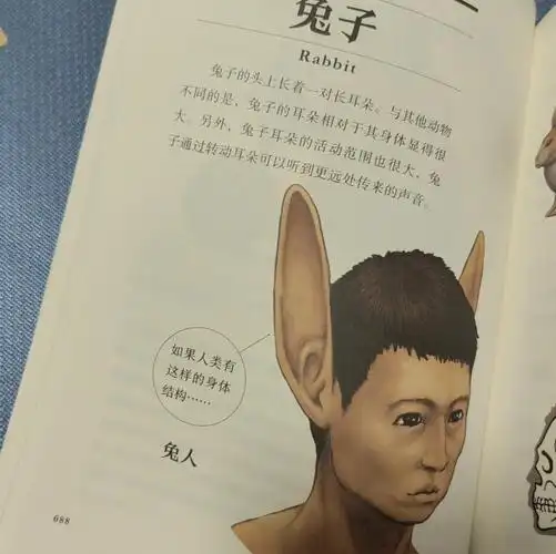 这是一本看上去有点精神污染的科普书,第一次看到时,还以为是什么日本