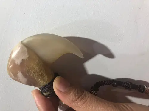 可以帮我鉴定下虎爪真假吗?