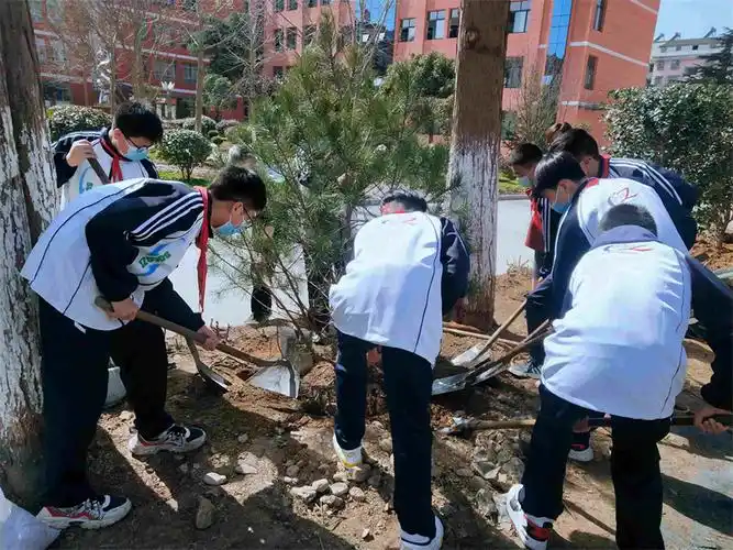 爱绿护绿正当时城关中学组织学生开展植树节系列活动
