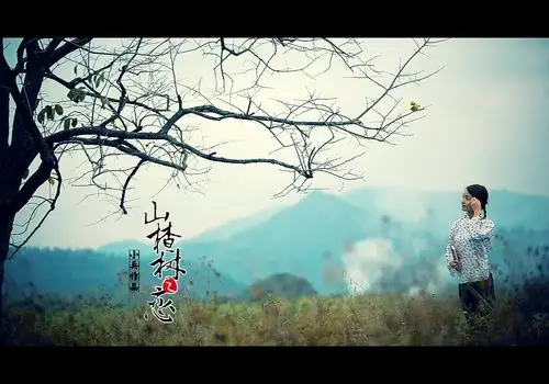 山楂树之恋_2010-12-15上传图片_小兵的相册_poco空间_poco网(poco.