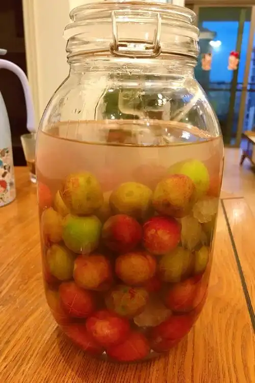 20款超详细的自制水果酒全攻略好喝又做法简单收藏起来慢慢学