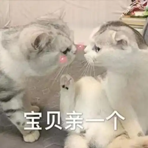 亲亲涩涩表情包 拿图请顺便吱一声 很难有动力发图