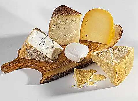 意大利干酪图片