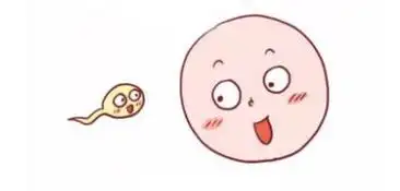 为什么女性"胎停"越来越常见?多半与以下4个因素有关!