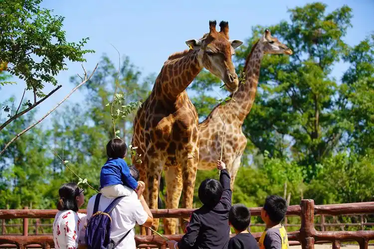 山东籍游客济南野生动物园推出优惠大礼包