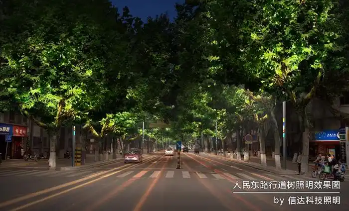 人民东路行道树照明效果图