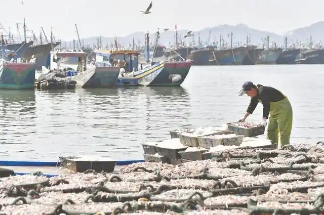 东山县:渔民满载而归