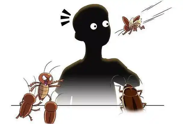 九成人不知蟑螂天敌是什么家里面放1个它蟑螂全集体消失