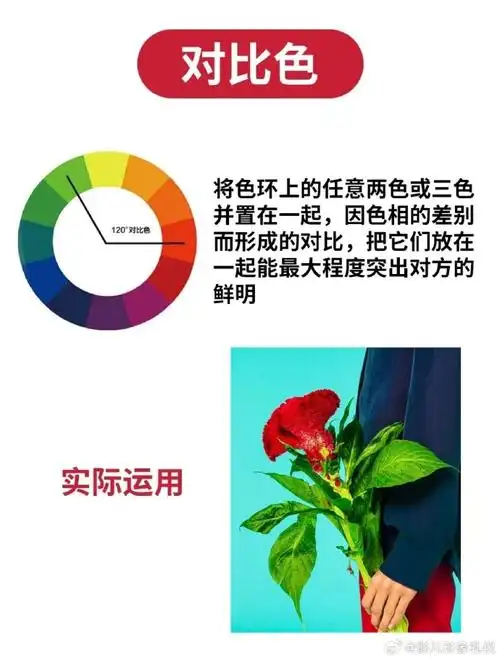 色彩搭配##形象礼仪##形象美学