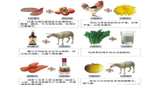 不能一起食用的食物大全