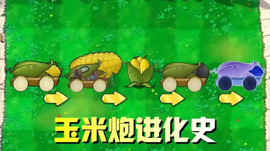 玉米加农炮进化史四次进化一次比一次厉害