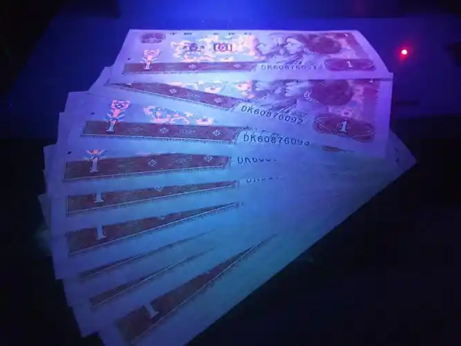 901 dk冠 白金龙 (荧光